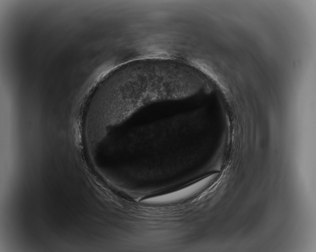 X0000097821455200803201428