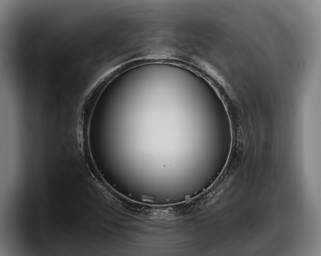 X0000097821456200803201428