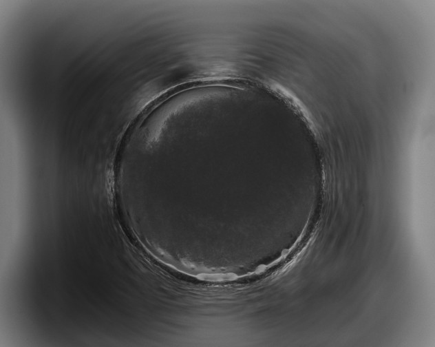 X0000097821457200803201428