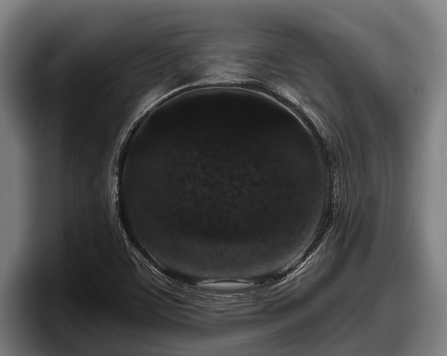 X0000097821459200803201428