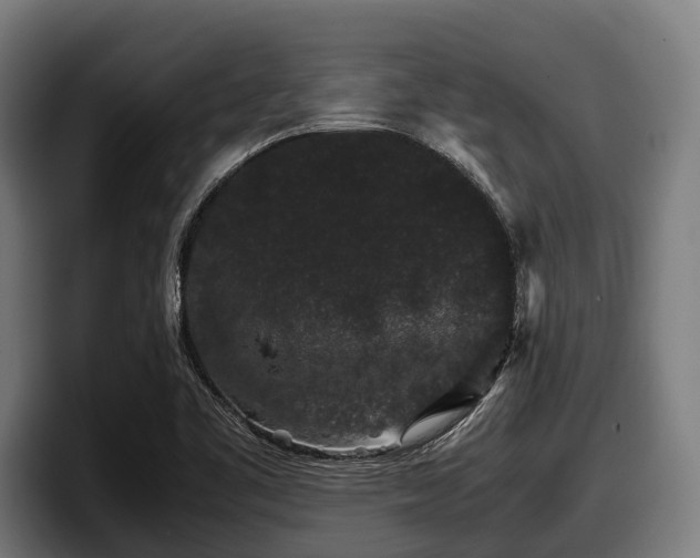 X0000097821461200803201428