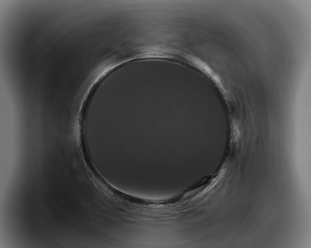 X0000097821463200803201428