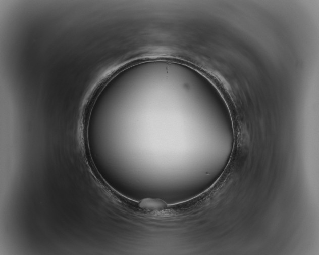 X0000097821464200803201428