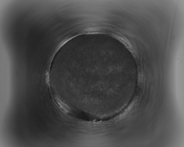 X0000097821465200803201428