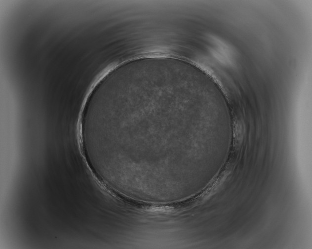 X0000097821466200803201428