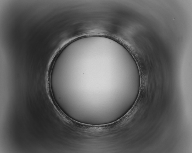 X0000097821470200803201428