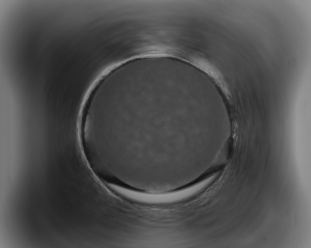 X0000097821472200803201428