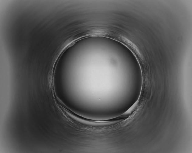 X0000097821473200803201428