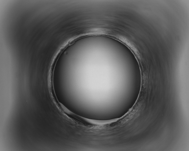 X0000097821477200803201427