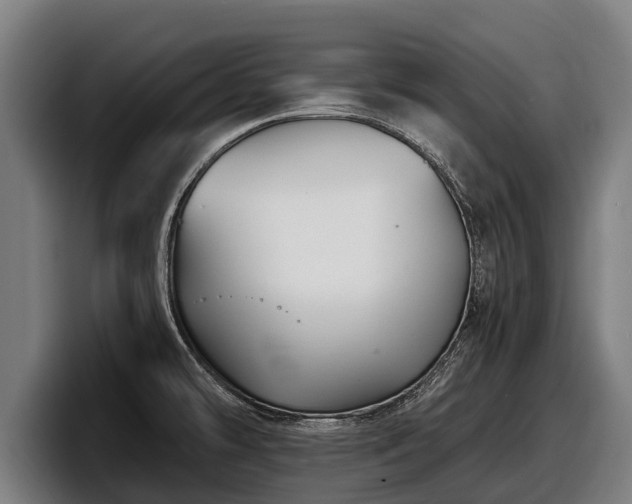 X0000097821478200803201427