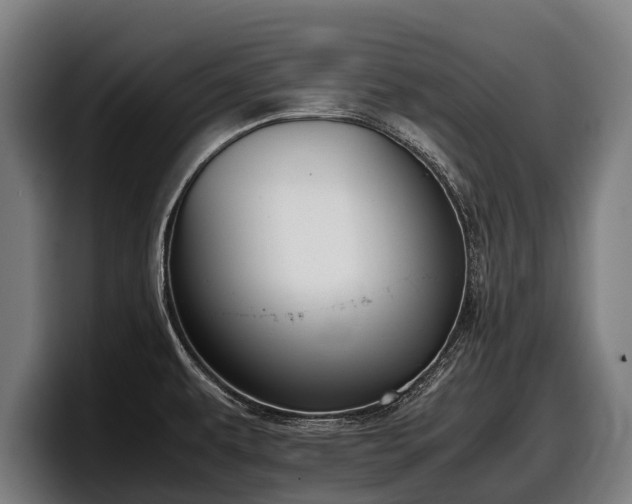 X0000097821479200803201427