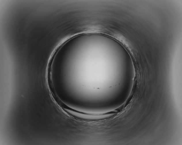 X0000097821480200803201427