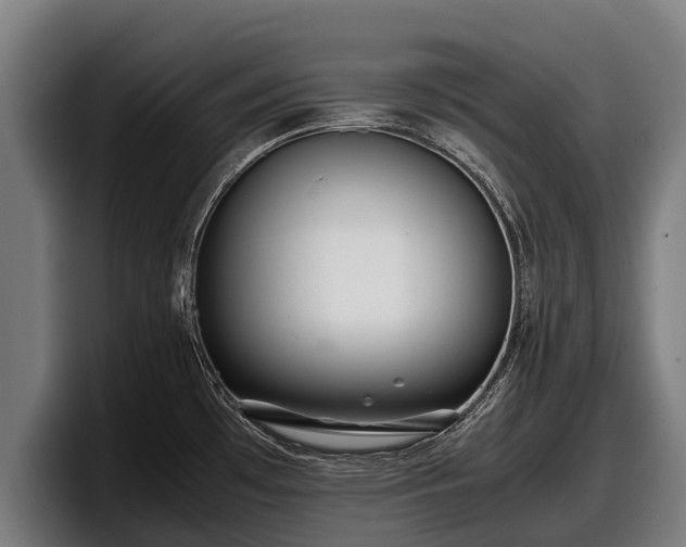 X0000097821481200803201427