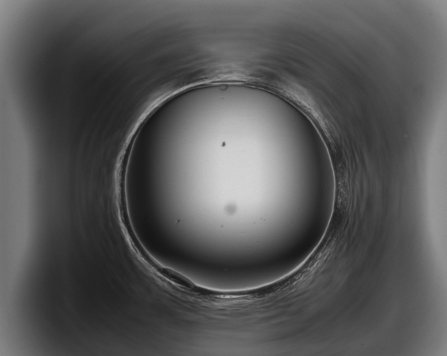 X0000097821483200803201427