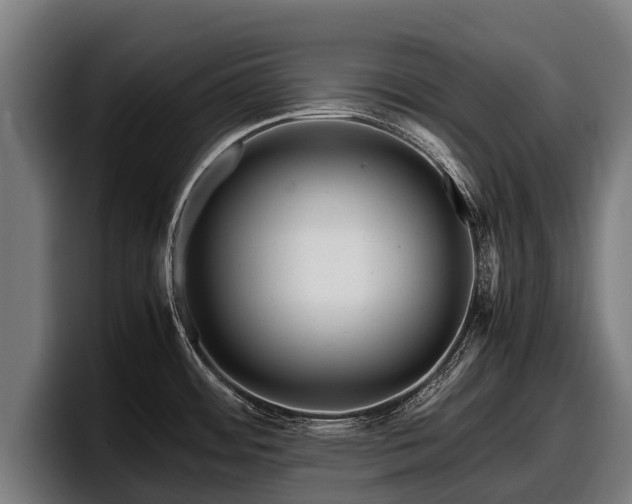 X0000097821484200803201427