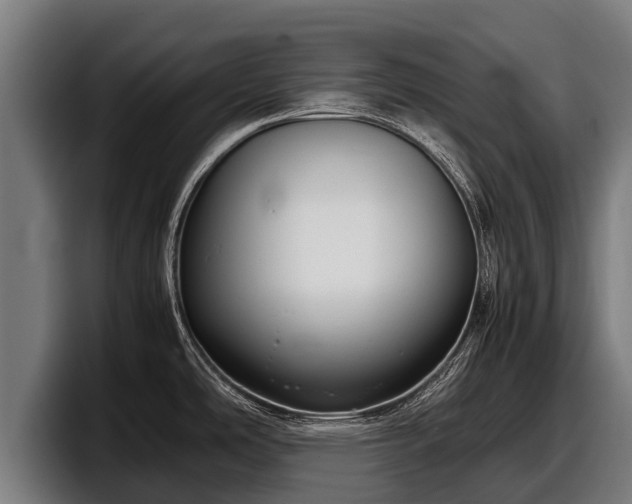 X0000097821486200803201427