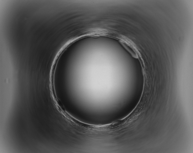 X0000097821488200803201427