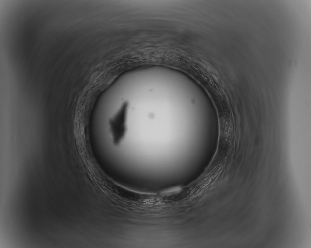 X0000097821489200803201427