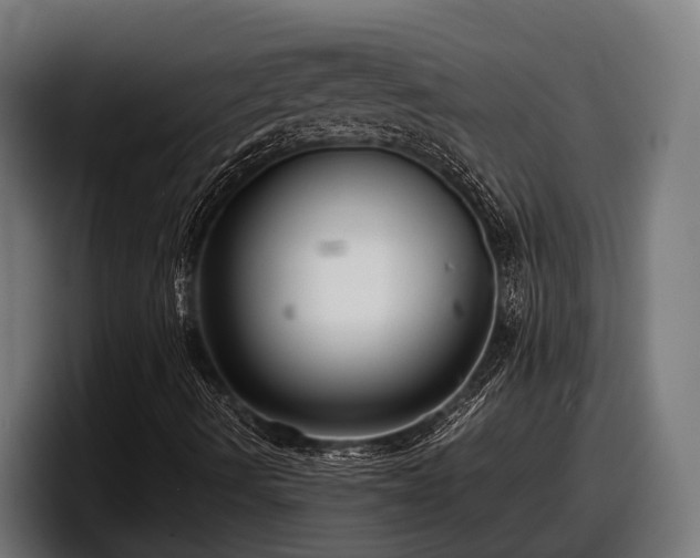 X0000097821490200803201427