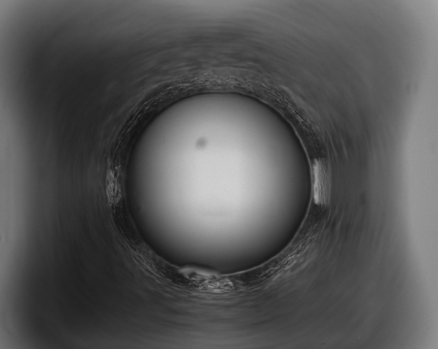 X0000097821491200803201427