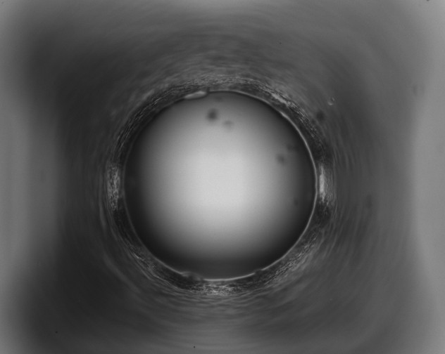 X0000097821492200803201427