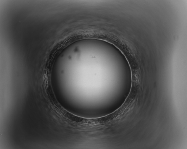 X0000097821493200803201427