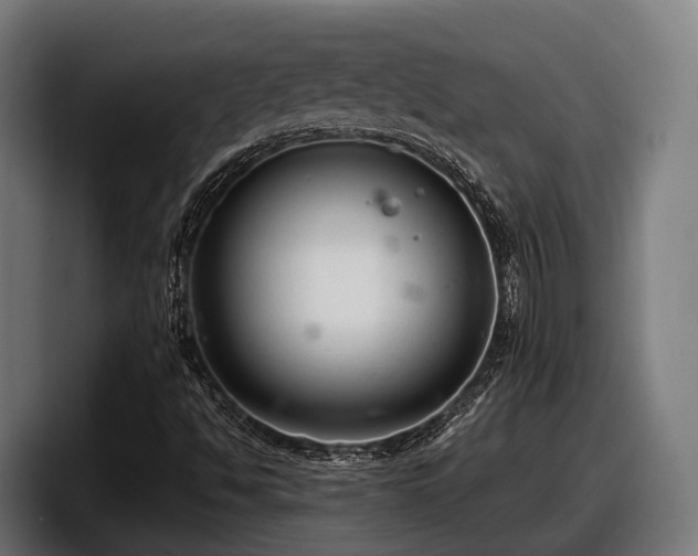 X0000097821494200803201427