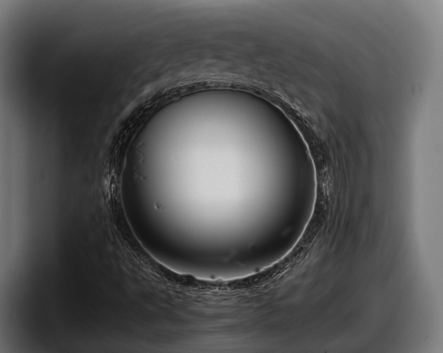 X0000097821495200803201427