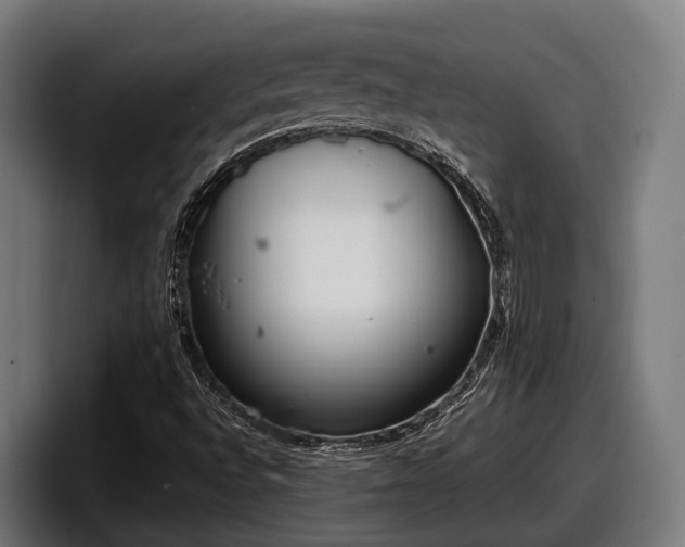 X0000097821496200803201427