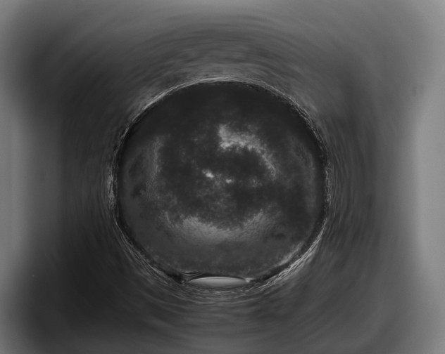 X0000097821497200803201427