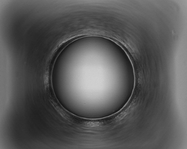 X0000097821499200803201427