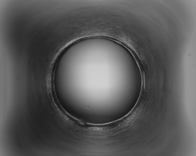 X0000097821500200803201427