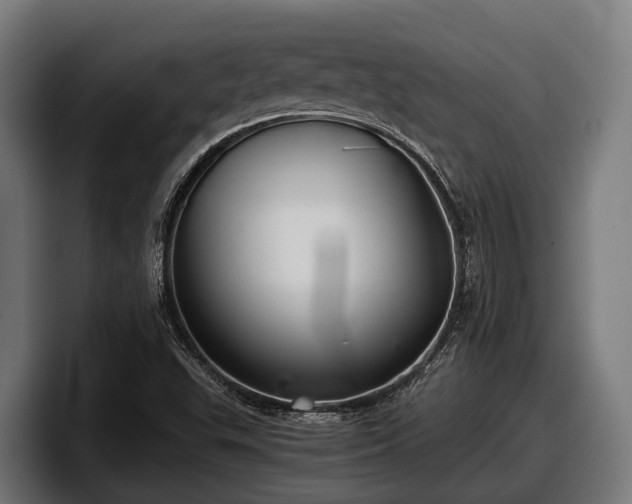 X0000097821503200803201427