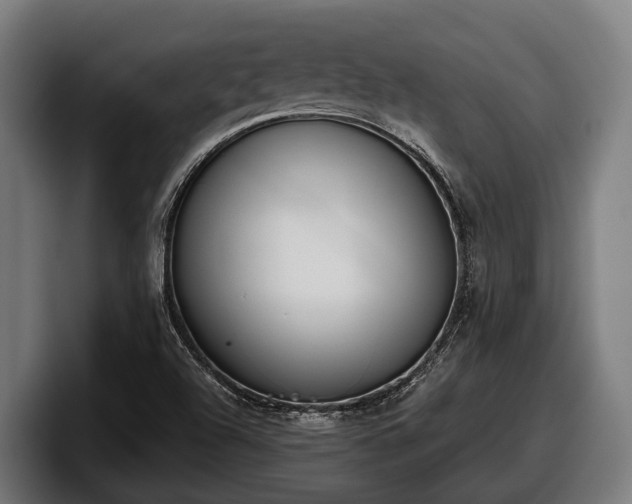 X0000097821504200803201427