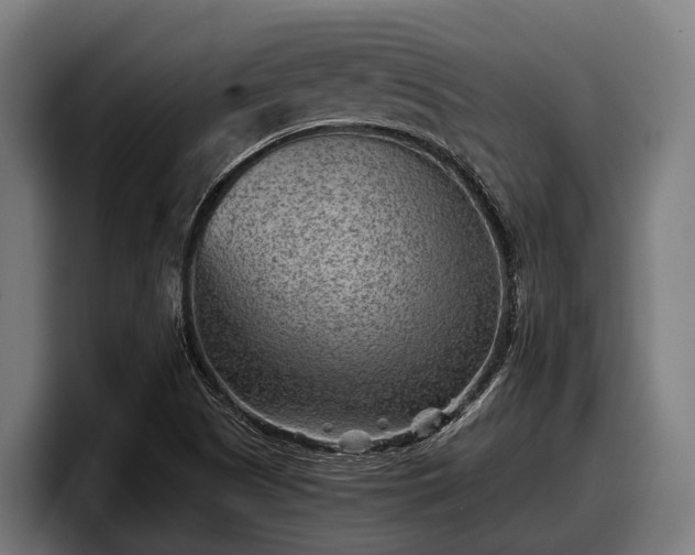 X0000097821505200803201427