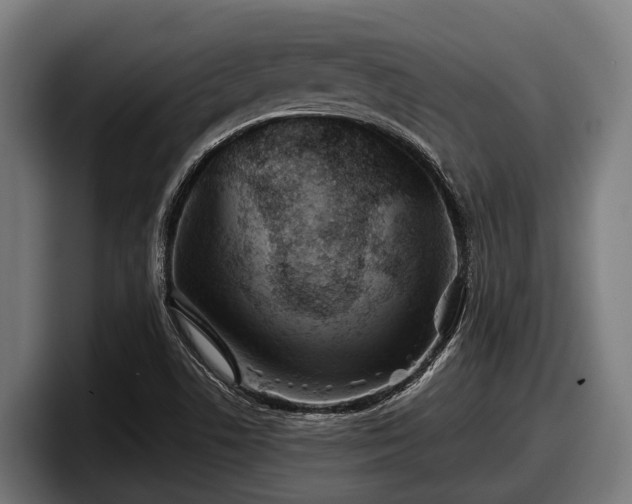 X0000097821506200803201427