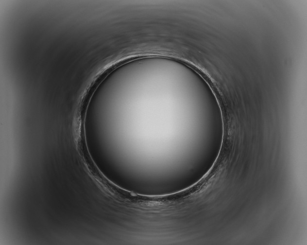 X0000097821507200803201427