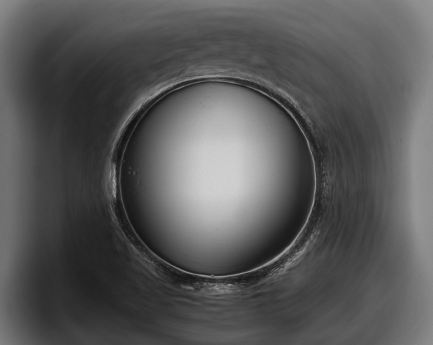 X0000097821509200803201427