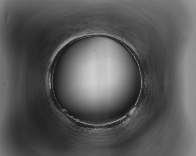 X0000097821510200803201427