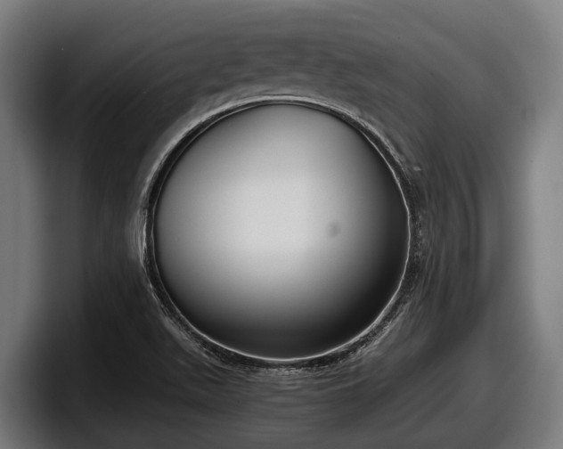 X0000097821511200803201427