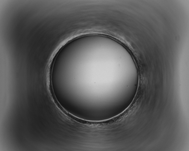 X0000097821512200803201427