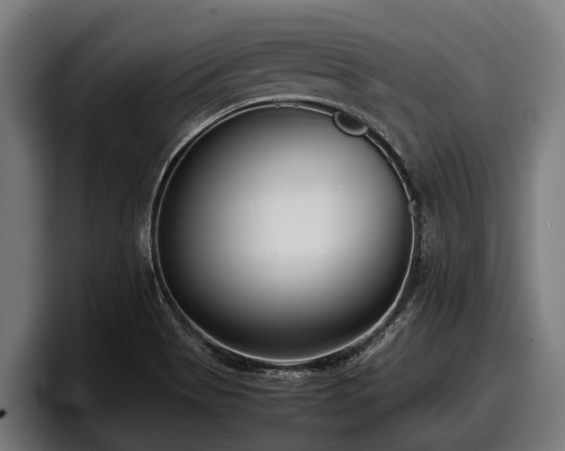 X0000097821513200803201427