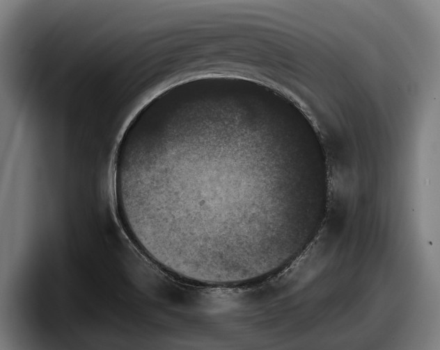 X0000097821514200803201427