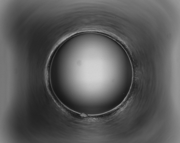 X0000097821517200803201427