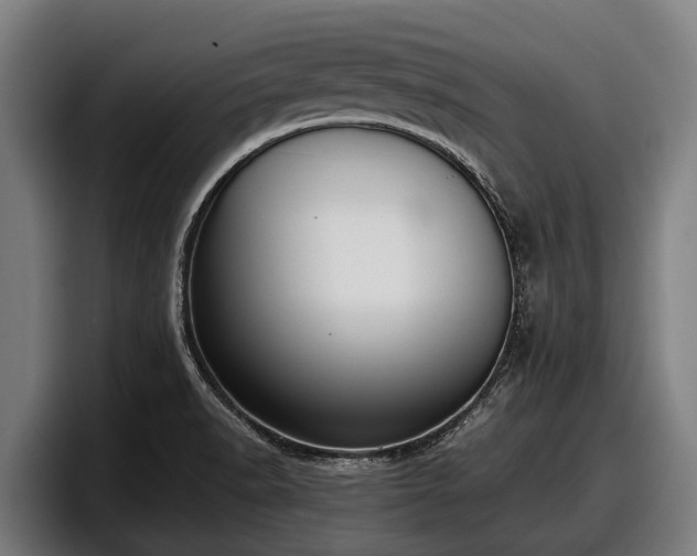 X0000097821518200803201427