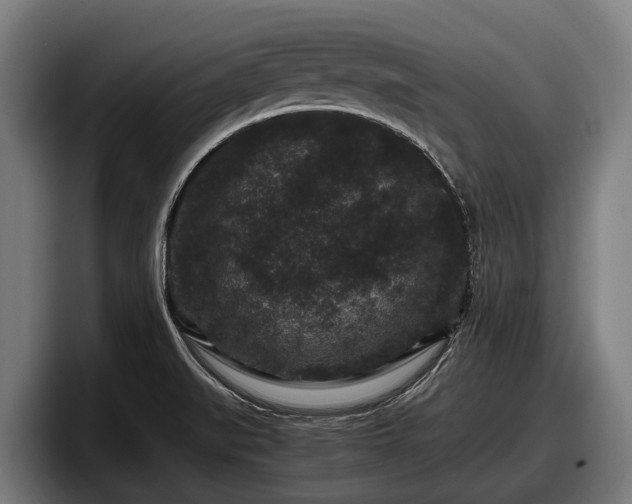 X0000097821519200803201427