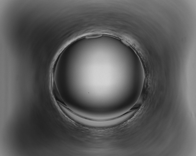 X0000097821520200803201427