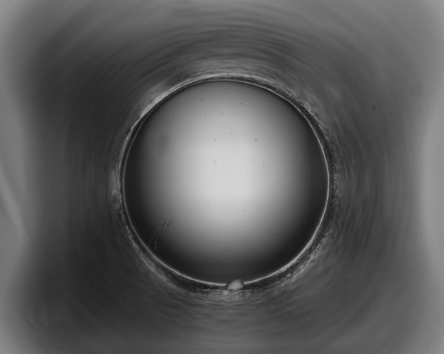 X0000097821521200803201427