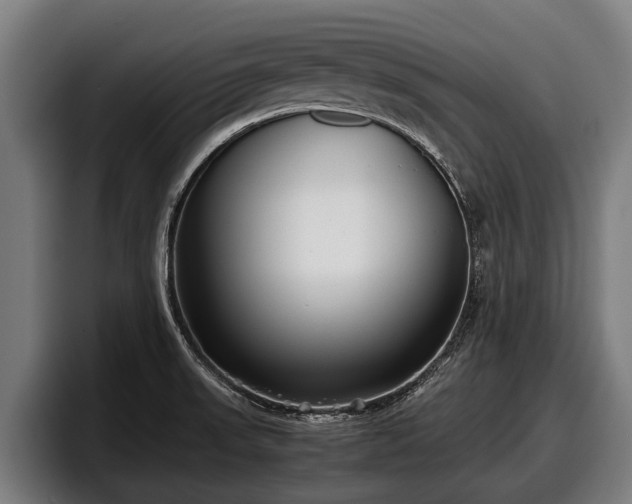 X0000097821523200803201427