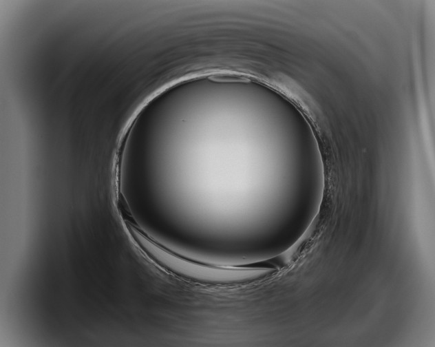 X0000097821524200803201427